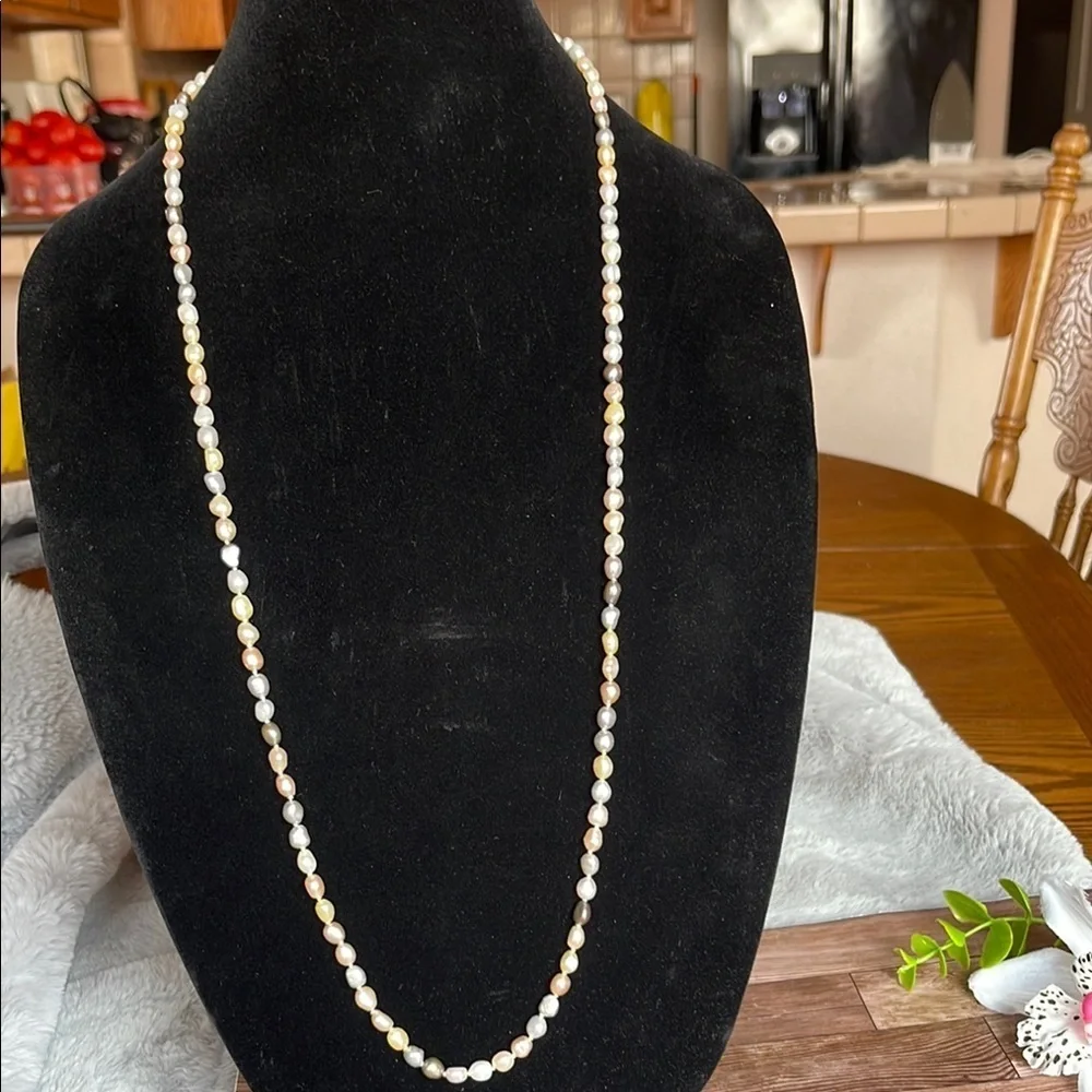Gold and Silver Elegant Necklace